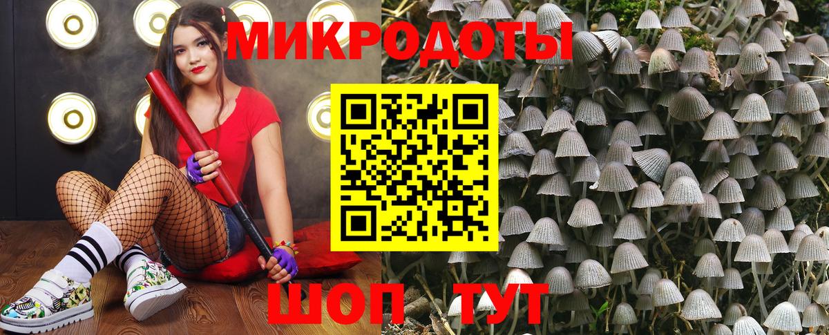 Псилоцибиновые грибы Psilocybe  Вход с VPN  что такое наркотик  Мирный 